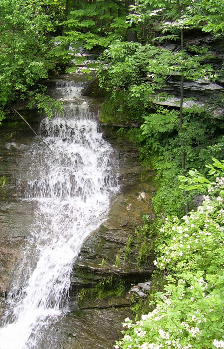 Seneca Lake Tributary